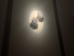 -Dragonfly悠庭·按摩Spa(静安嘉里中心店)