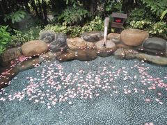 -厦门日月谷温泉渡假村