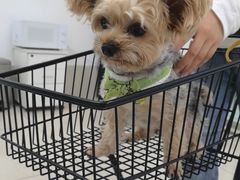 -北京观赏动物医院·24小时大型综合·猫专科·异宠专科