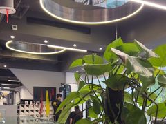 -超鹿运动(达信大厦店)