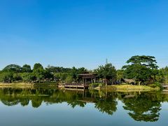 -王借岗森林公园