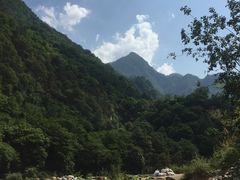-黑河国家森林公园