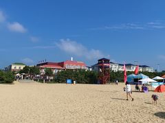 -日照海滨国家森林公园