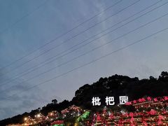 -枇杷园食为鲜火锅(南山店)