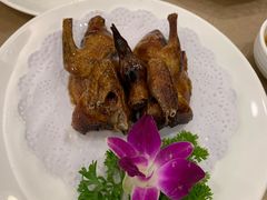 -一品粤珍轩(吴中路店)