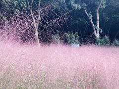-牛岗山公园