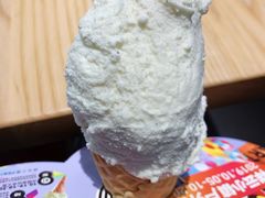 -野人先生现做冰淇淋(北京顺义祥云小镇店)