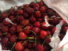 -江杨农产品批发市场