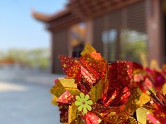 -深圳仙湖植物园