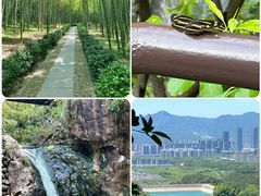 -大奇山国家森林公园