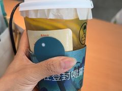 -雾与山茶(大禹城店)