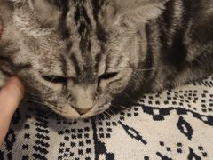 -平行世界·猫咖(首经贸店)