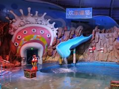 -烟台海昌鲸鲨海洋公园