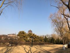 -莲花池公园