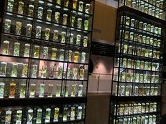 -广东中医药博物馆