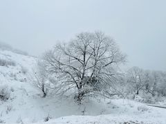 -太子岭滑雪场