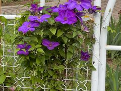 -国家植物园南园