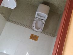 -金山农民画村-枫泾波兰倒置屋