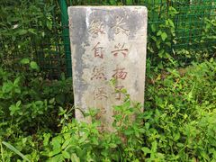 -中国扬子鳄村