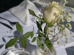 -蝶舍·MAISON PAPILLON