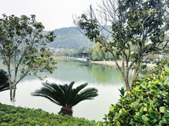 -明月山天沐温泉度假村