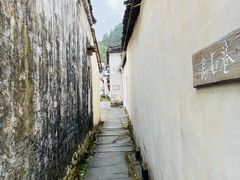 -石台牯牛降景区