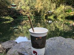 -茶颜悦色(登高路上店)