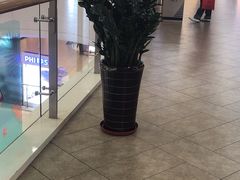 -茅庐毛血旺(临沂泰盛广场店)
