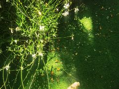 -BOCATA 西班牙餐厅(三里屯店)