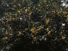 -南山风景名胜区