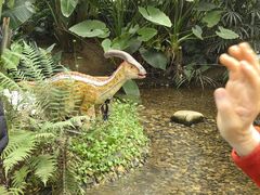 -沈阳植物园
