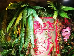 -醉小酒馆·川菜·江湖菜·重庆菜(观音桥旗舰店)