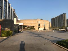 -顺德演艺中心大剧院