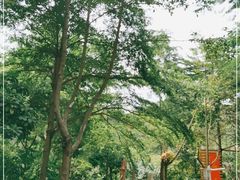 -火炉山森林公园