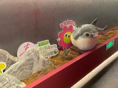 -肆月河豚·新淮扬菜·烤鸭(中关村店)