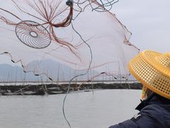 -北岐滩涂