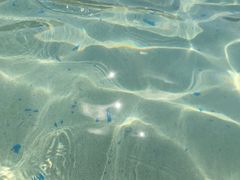 -杭州浪浪浪水公园