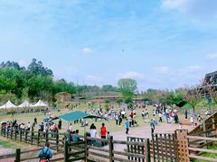-黄龙溪欢乐田园