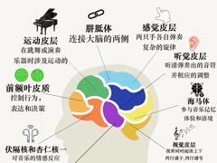 -珠江钢琴艺术中心(文一路店)