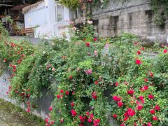 -杭州西湖风景名胜区-满觉陇四眼井