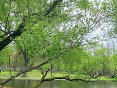 -上海共青森林公园