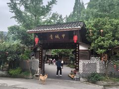 -青城甲(青城山店)