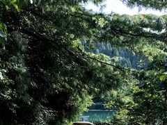 -武陵山森林公园