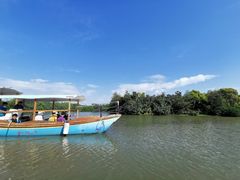 -大湾区中央湿地公园