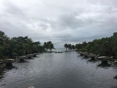 -亚龙湾喜来登·美景台大堂吧