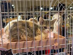 -尚泰清迈机场购物中心