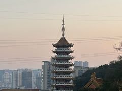 -仙岳公园