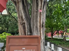 -北京市劳动人民文化宫(太庙)