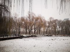 -玲珑塔公园