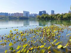 -天鹅湖体育公园